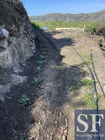 Image No.14-Country House for sale