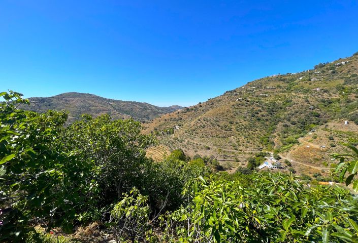 Image No.19-3 Bed Villa for sale