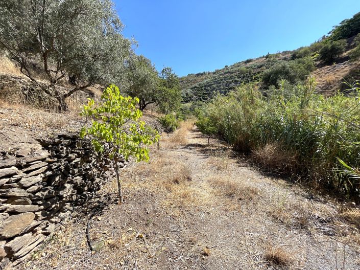 Image No.16-1 Bed Villa for sale