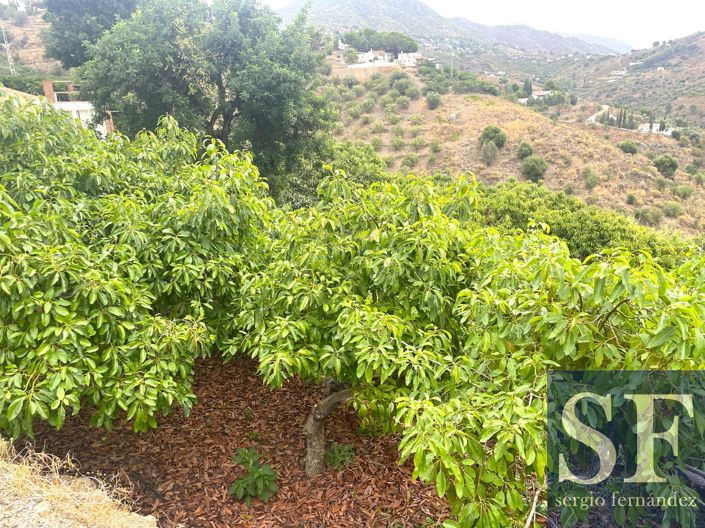 Image No.17-Villa de 4 chambres à vendre à Cómpeta