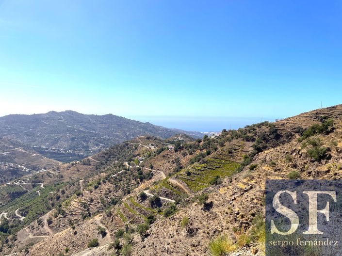 Image No.9-Villa à vendre à Cómpeta