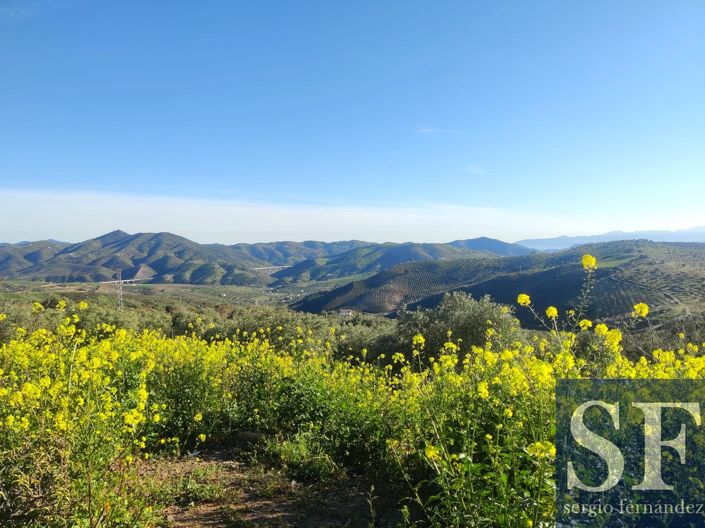 Image No.12-Villa de 2 chambres à vendre à Casabermeja
