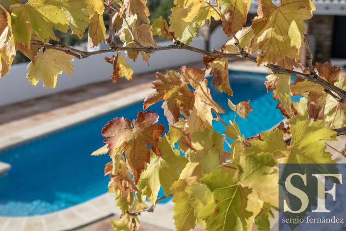 Image No.16-4 Bed Villa for sale