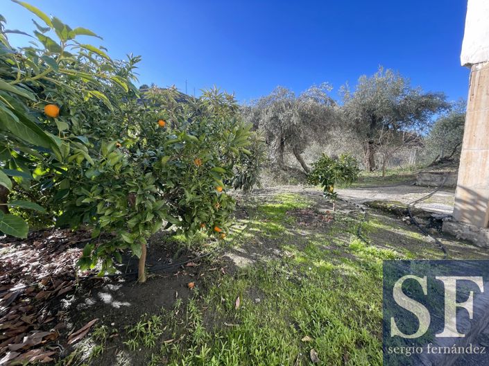 Image No.19-Maison de ville de 3 chambres à vendre à Cómpeta