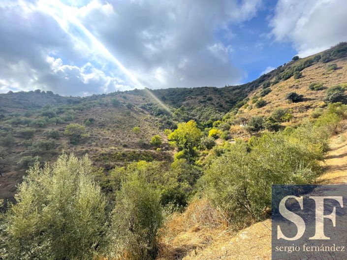 Image No.16-Villa de 2 chambres à vendre à Cómpeta