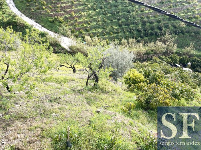 Image No.19-2 Bed Villa for sale