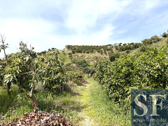 Image No.15-Villa à vendre à Vélez-Málaga