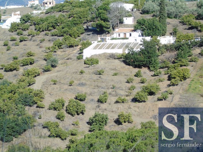 Image No.10-5 Bed Villa for sale