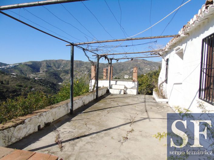 Image No.3-5 Bed Villa for sale