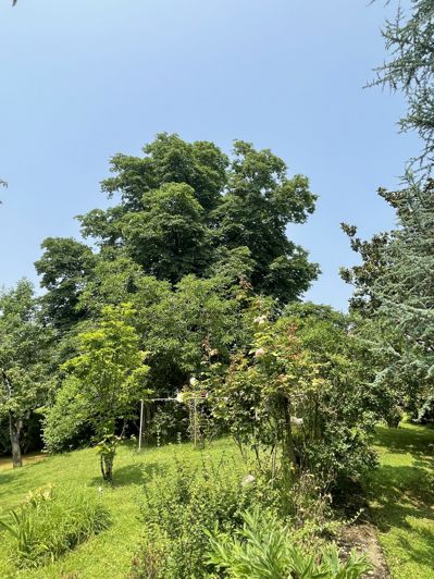 Image No.75-Maison de 4 chambres à vendre à Gimont