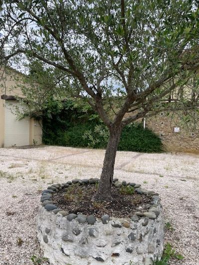 Image No.55-5 Bed House for sale