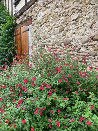 Image No.64-5 Bed House for sale