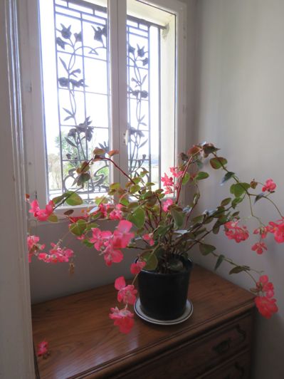 Image No.12-2 Bed House for sale