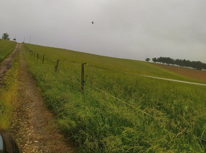 Image No.11-House for sale