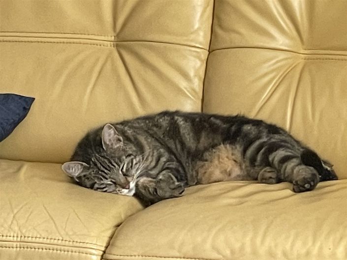 Image No.25-Maison à vendre à Seissan