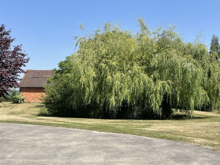 Image No.26-Maison à vendre à Seissan