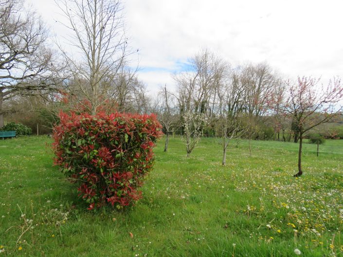 Image No.28-4 Bed House for sale