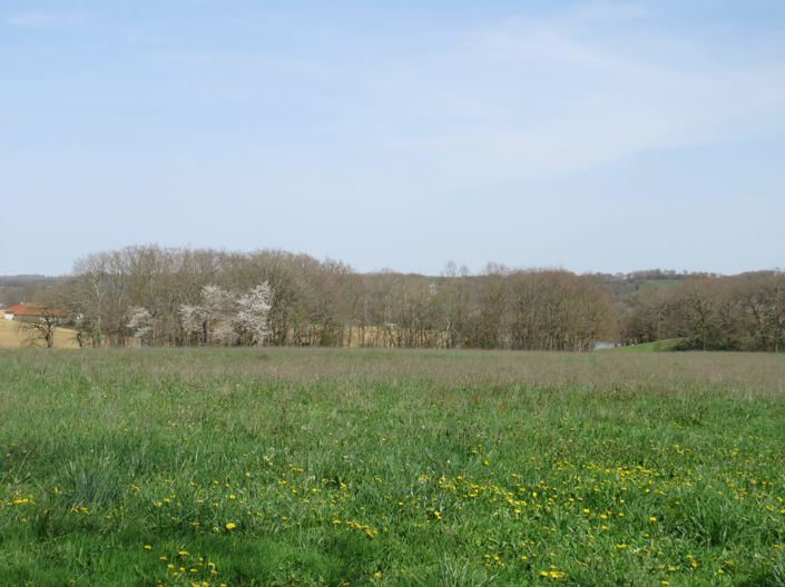 Image No.26-2 Bed House for sale