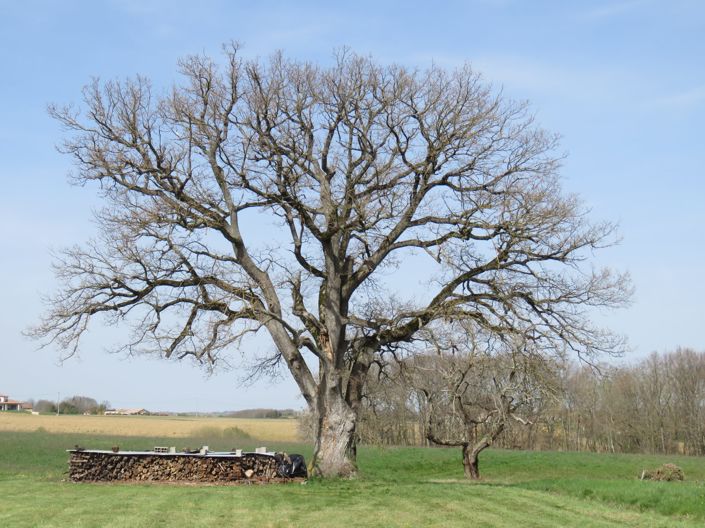 Image No.9-2 Bed House for sale