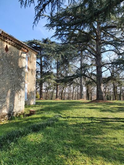 Image No.12-Maison à vendre à Auch