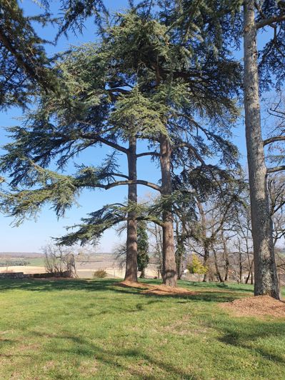 Image No.16-Maison à vendre à Auch