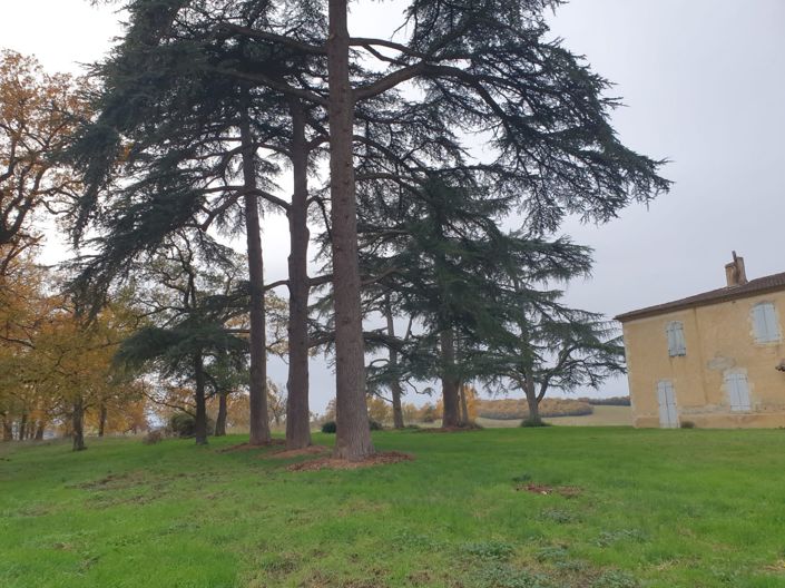 Image No.17-Maison à vendre à Auch