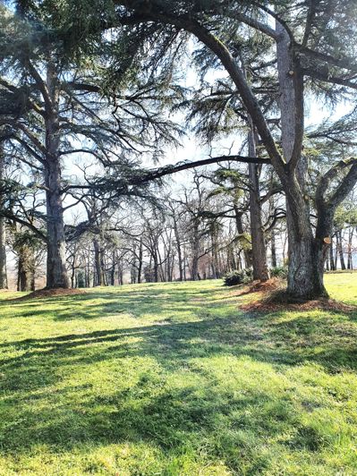Image No.3-Maison à vendre à Auch