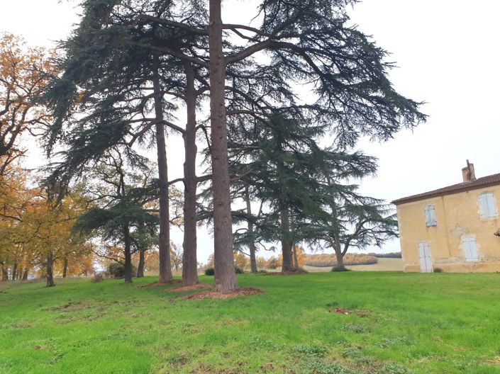 Image No.39-Maison à vendre à Auch