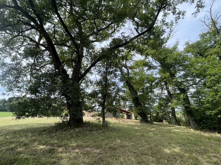 Image No.29-Maison de campagne de 3 chambres à vendre à Barcugnan