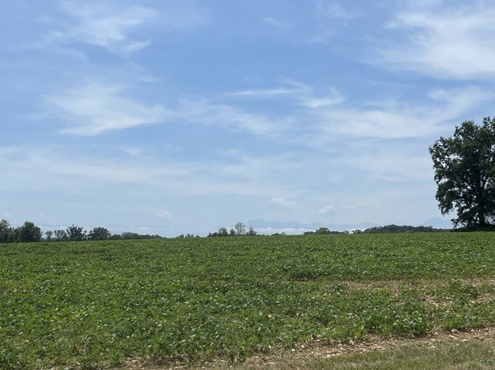 Image No.32-Maison de campagne de 3 chambres à vendre à Barcugnan