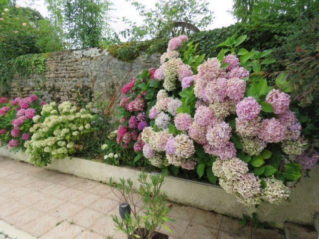 Image No.45-Maison de 6 chambres à vendre à Saint-Plancard