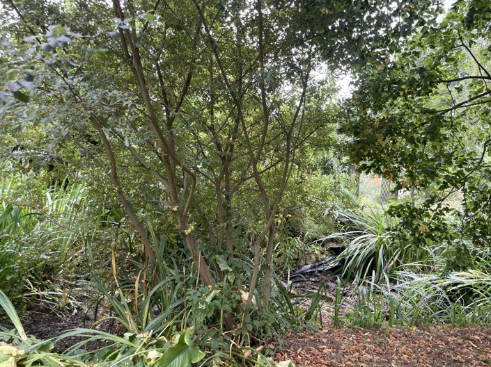 Image No.70-Maison de 6 chambres à vendre à Saint-Plancard