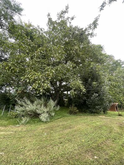 Image No.77-Maison de 6 chambres à vendre à Saint-Plancard