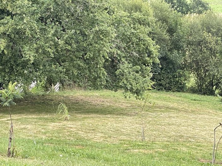 Image No.81-Maison de 6 chambres à vendre à Saint-Plancard