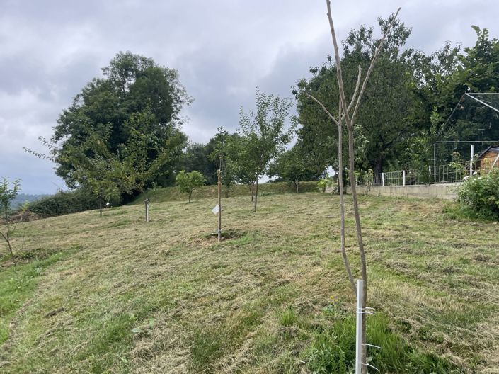 Image No.82-Maison de 6 chambres à vendre à Saint-Plancard