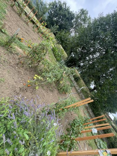 Image No.87-Maison de 6 chambres à vendre à Saint-Plancard