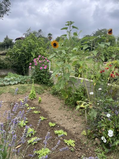 Image No.89-Maison de 6 chambres à vendre à Saint-Plancard