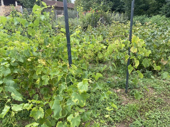 Image No.92-Maison de 6 chambres à vendre à Saint-Plancard