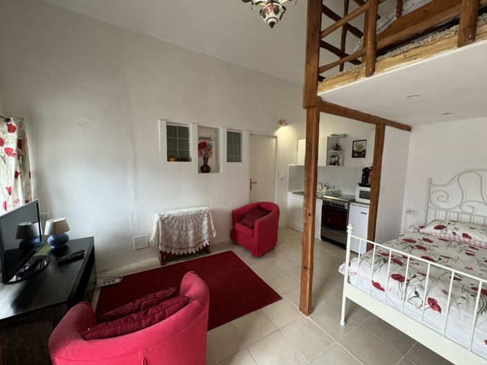 Image No.53-Maison de 15 chambres à vendre à Mirande