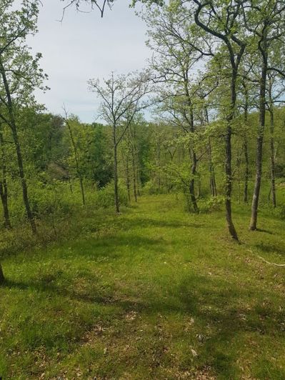Image No.13-Maison de 4 chambres à vendre à Marciac