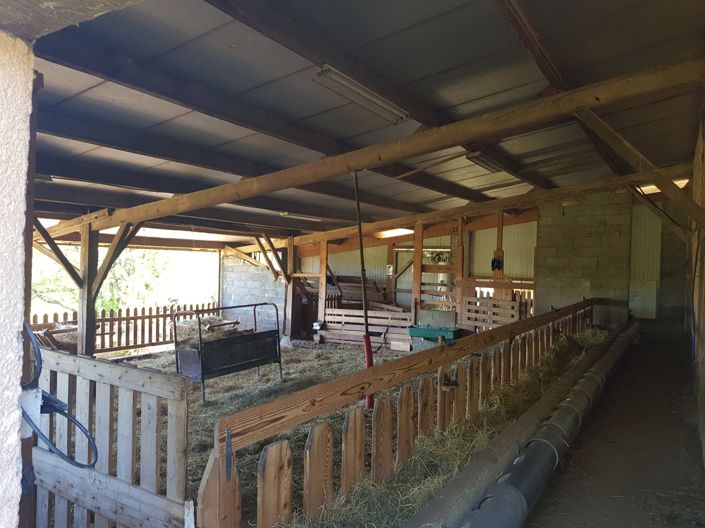 Image No.20-Maison de 4 chambres à vendre à Marciac