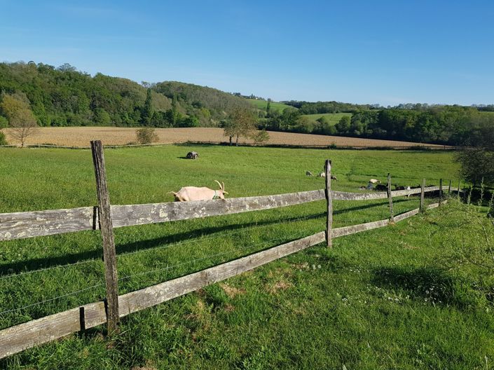Image No.7-Maison de 4 chambres à vendre à Marciac