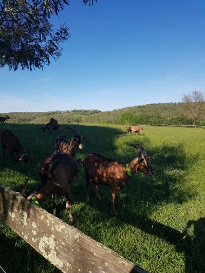 Image No.8-Maison de 4 chambres à vendre à Marciac