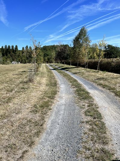 Image No.17-Maison de 5 chambres à vendre à Villecomtal-sur-Arros