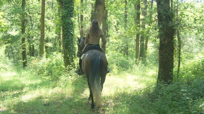 Image No.25-Maison de 4 chambres à vendre à Vic-Fezensac