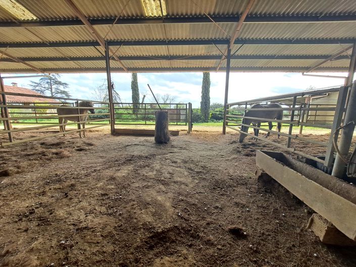 Image No.26-Maison de 4 chambres à vendre à Vic-Fezensac