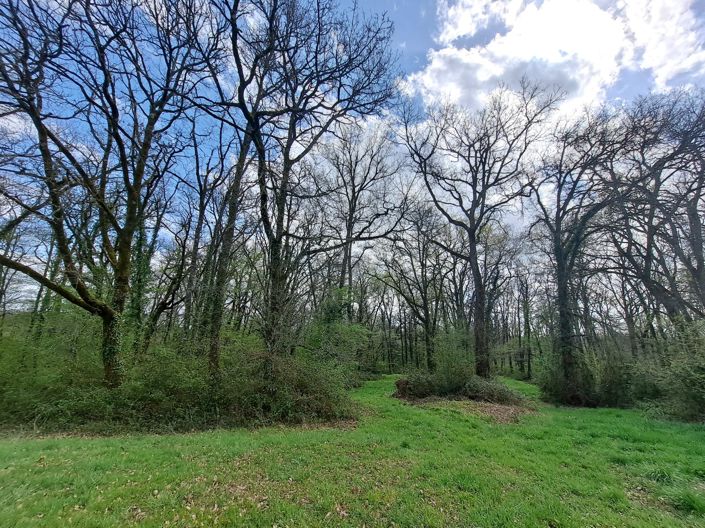 Image No.28-Maison de 4 chambres à vendre à Vic-Fezensac