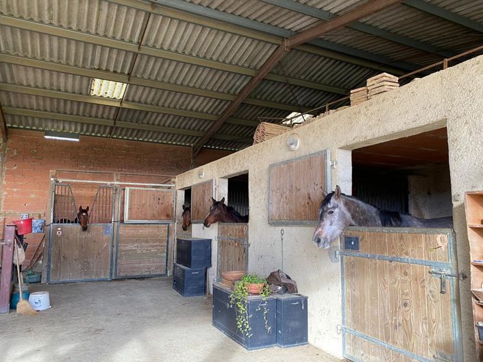 Image No.4-Maison de 4 chambres à vendre à Vic-Fezensac