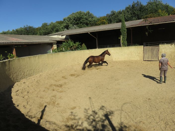 Image No.41-Maison de 4 chambres à vendre à Vic-Fezensac
