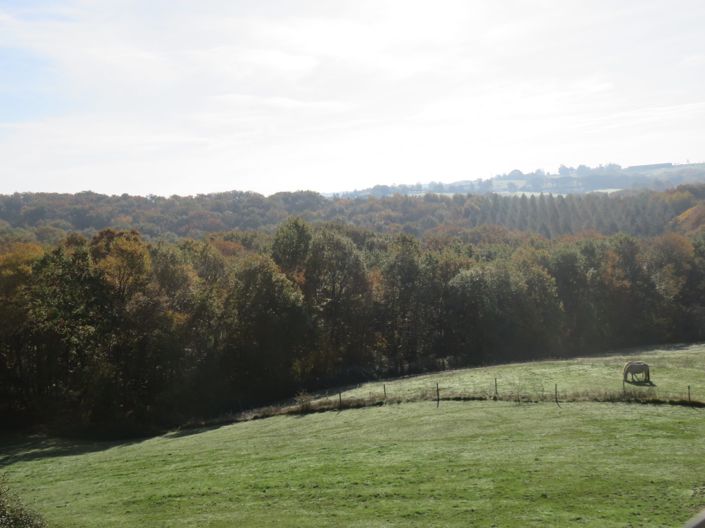 Image No.43-Maison de 4 chambres à vendre à Vic-Fezensac
